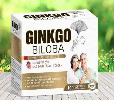 GINKGO BILOBA MÀU NÂU
